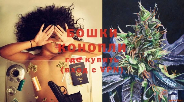 гидра Зеленодольск