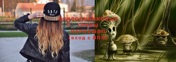 гидропоника Заволжск