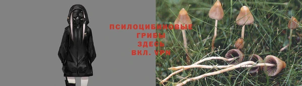 2c-b Зеленокумск