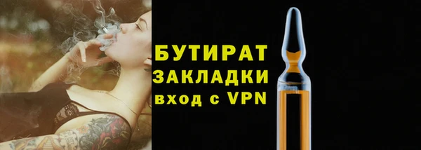 шишки Заволжье