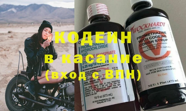 шишки Заволжье