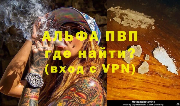 мяу мяу мука Инта