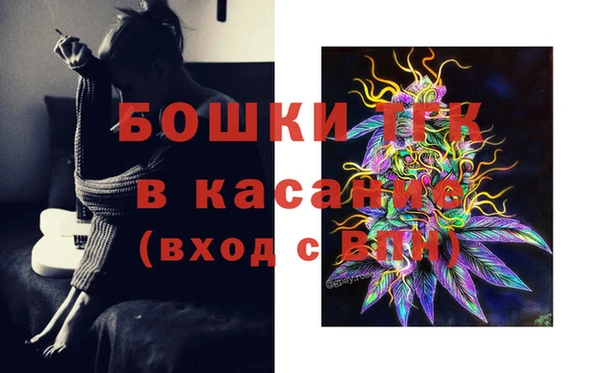 мяу мяу мука Инта