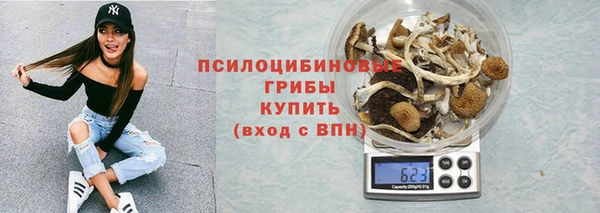 мяу мяу мука Инта